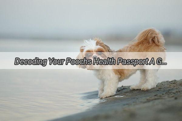 Decoding Your Poochs Health Passport A Guide to Interpreting Dog Health Certificates